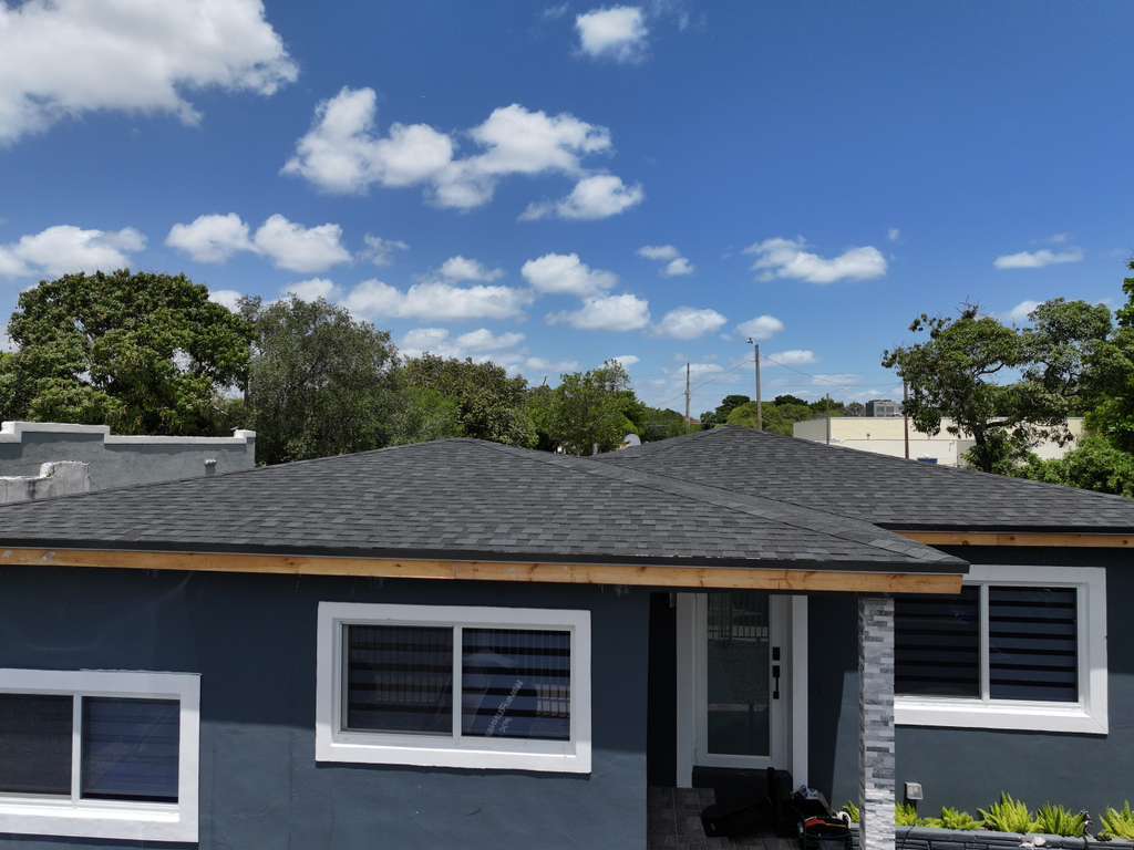 Shingle Roof 1
